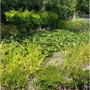 Meet your Posher, Zoey